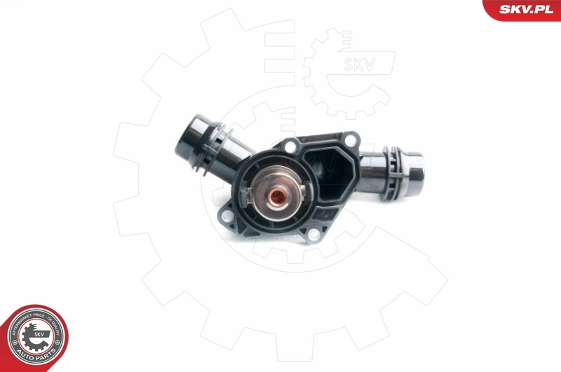 Thermostat, coolant